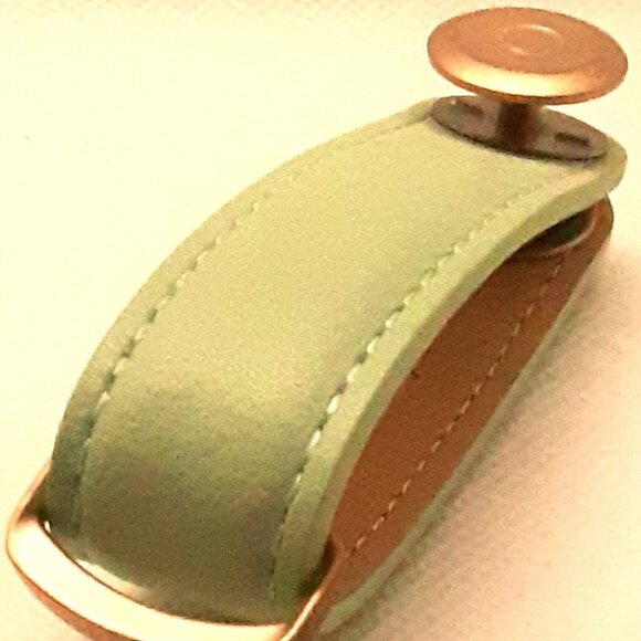 Mint Green Orbitkey Genuine Leather Key Holder Organizes Your Keys - Picture 3 of 12